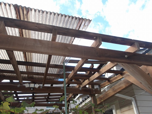 清掃したポリカ屋根