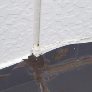 壁からの雨漏れ箇所