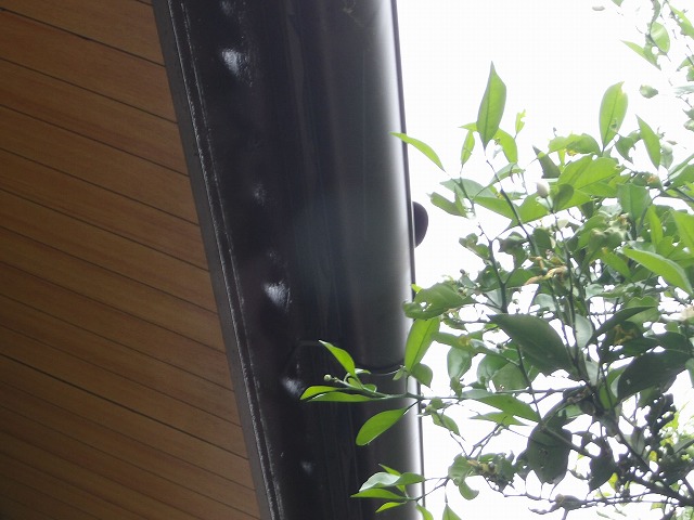 外れている雨樋
