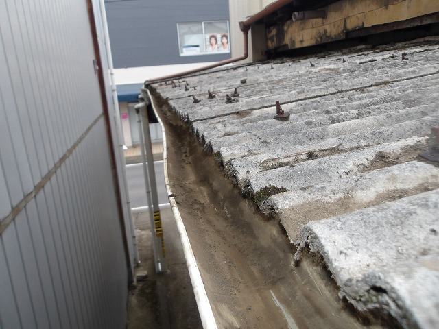 掃除をした軒樋