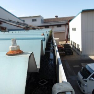 雨水が溜まっている