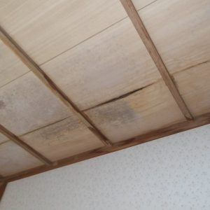 雨漏れしている和室