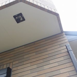 雨樋詰まり