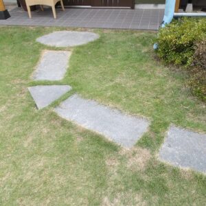 踏み石を清掃