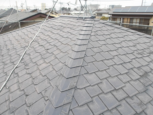現状の屋根全景