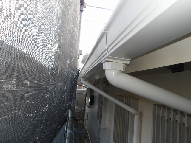 雨樋施工完了