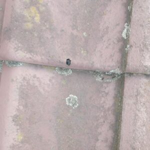 瓦に穴が空いている