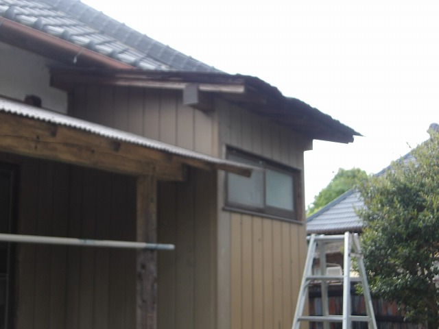 既存屋根