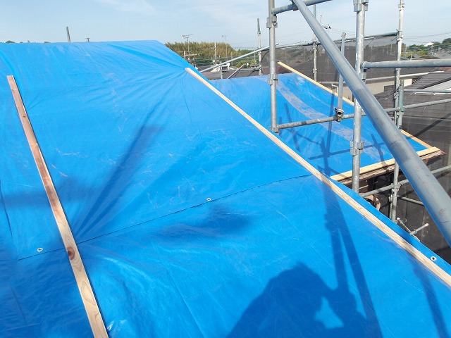 屋根の養生