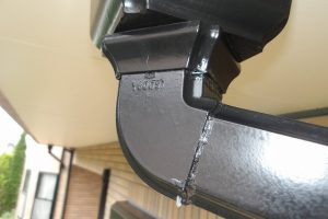 雨樋詰まり